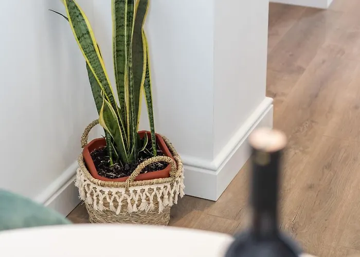 Romantic With Balcony